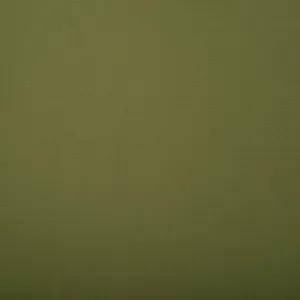 Basic Knit - BARCELONA - Olive